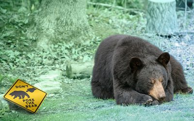 Markets in Motion — What Not to Do Now